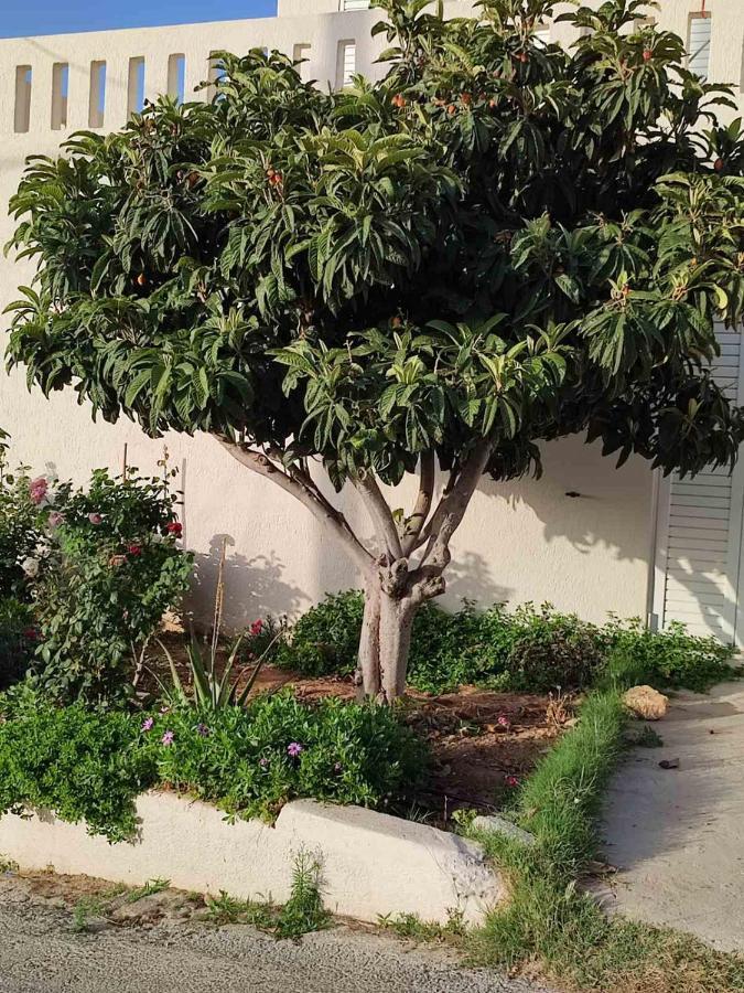 איסטרו Kassandra Garden Residence מראה חיצוני תמונה
